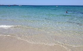 Mare Di Sardegna